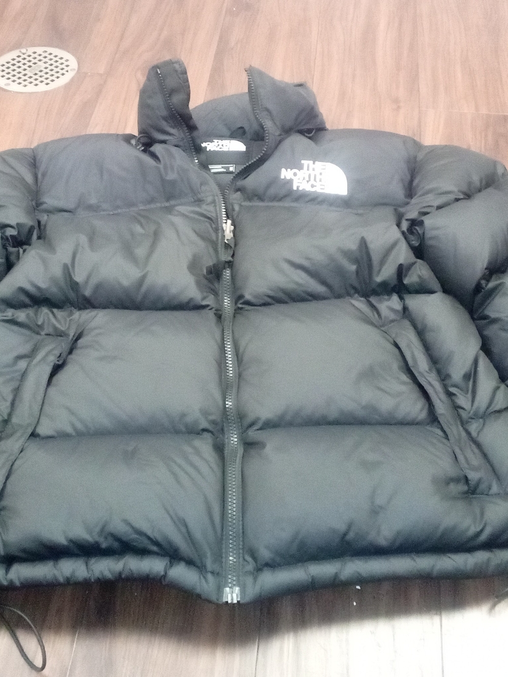 The North Face Black Men's Down Puffer Jacket